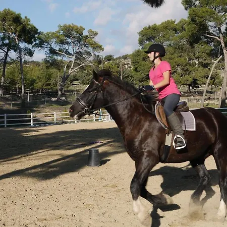 2 Bedroom Chloe With Communal Pool, Aphrodite Hills Apartment